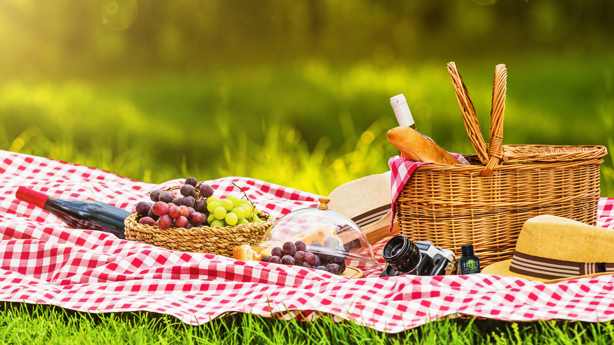 INTERNATIONAL PICNIC DAY - 18th June 2022